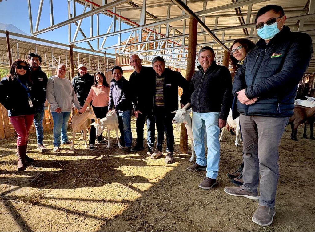 AGROSEGUROS LANZA NUEVO SEGURO CON SUBSIDIO ESTATAL PARA GANADERÍA CAPRINA